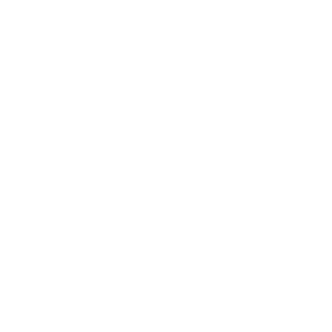 Custom Solutions
